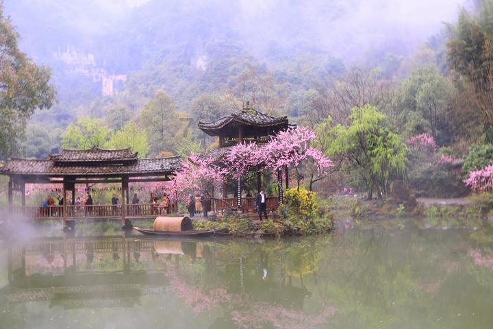 新泡泡大作战